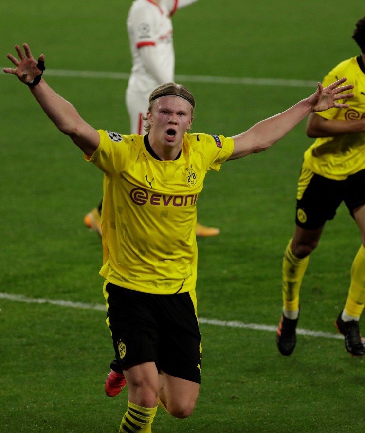 他们希望将 他们希望将