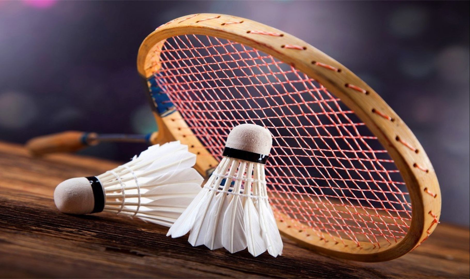 场上各个关 场上各个关